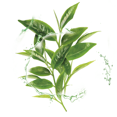 Garnier Serum Mask - Hydra Bomb / Green Tea + Hyaluronic Acid / Oily Skin